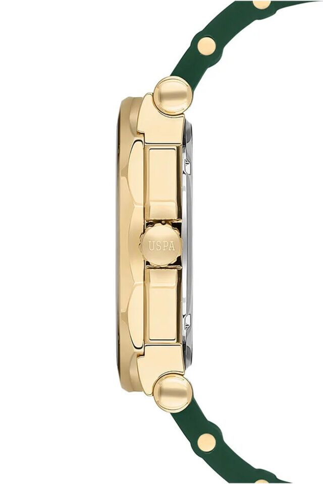 U.S. Polo Assn. USPA1107-06 Erkek Kol Saati