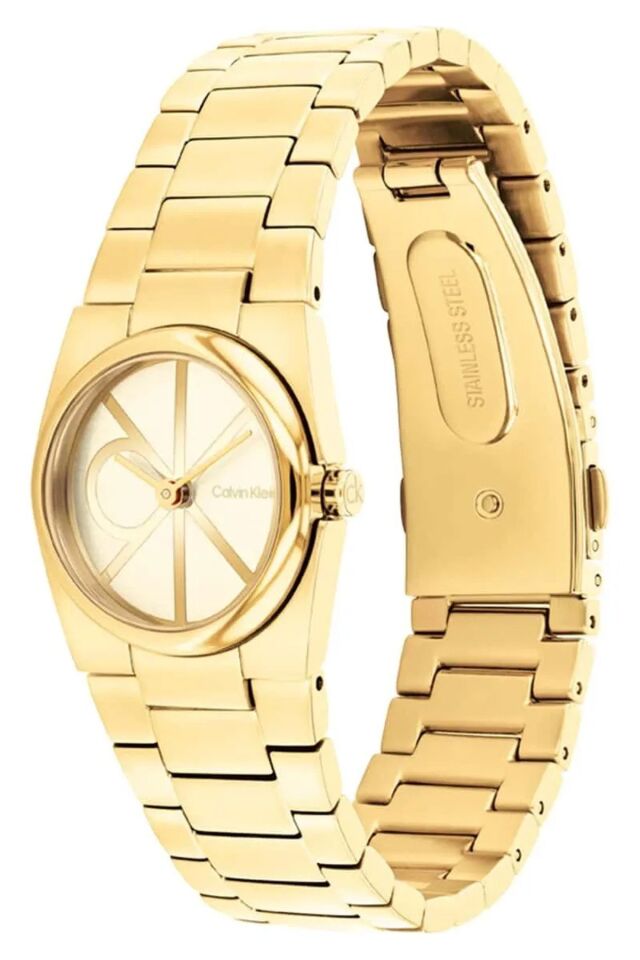 Calvin Klein CK25100127 Kadın Kol Saati