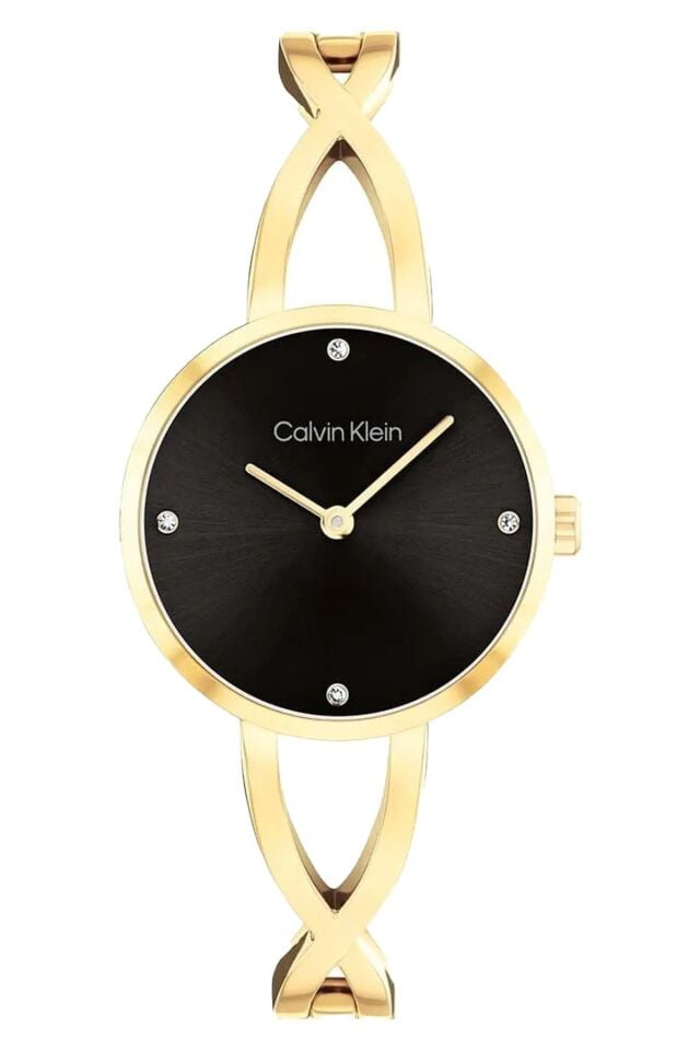 Calvin Klein CK25100059 Kadın Kol Saati