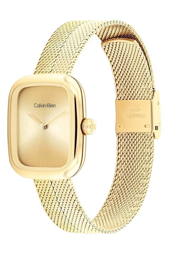 Calvin Klein CK25100099 Kadın Kol Saati