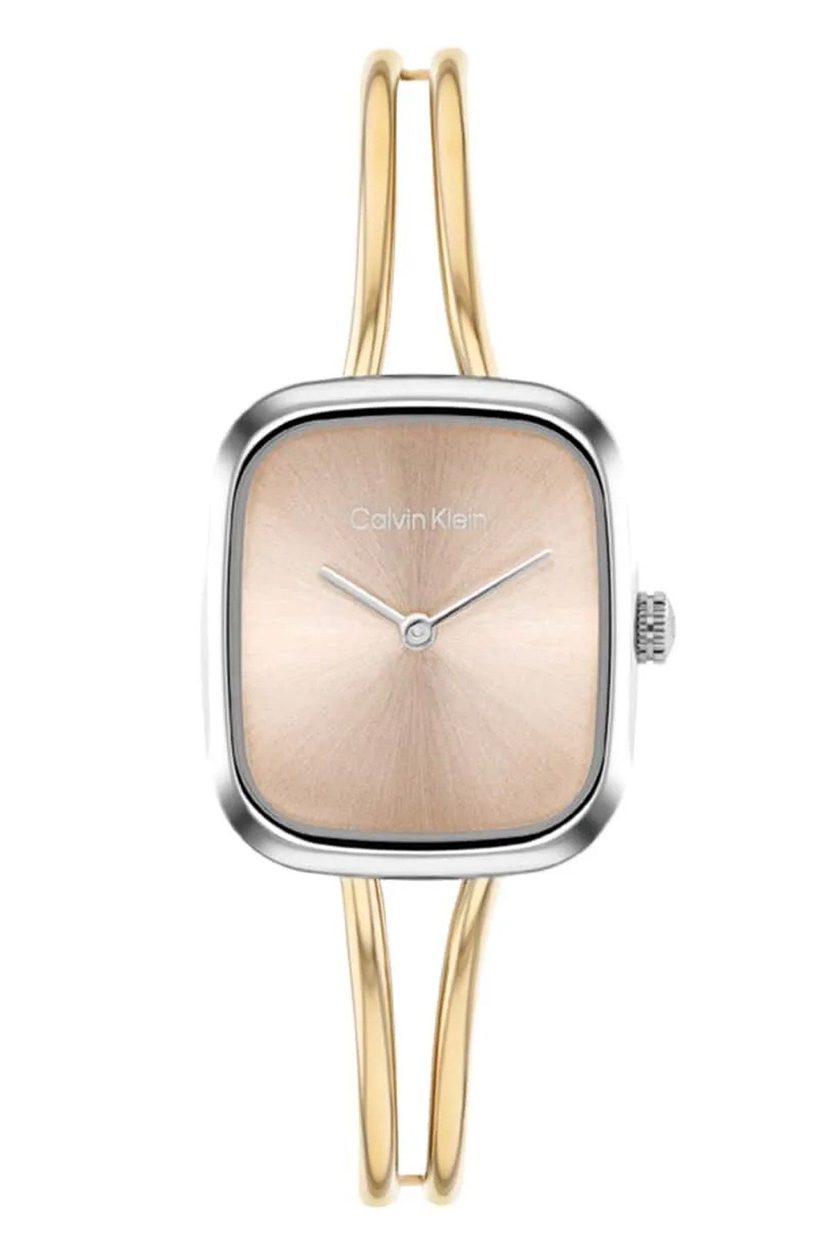 Calvin Klein CK25100134 Kadın Kol Saati