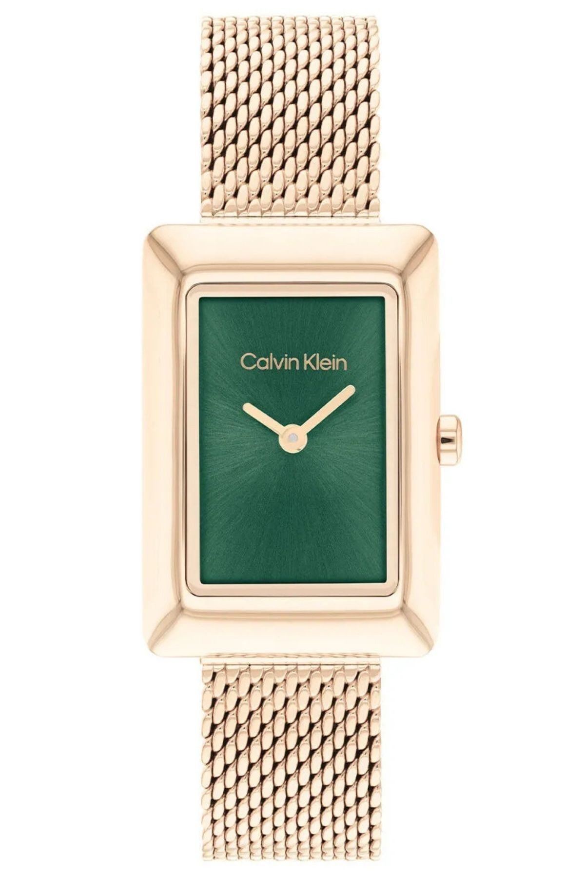 Calvin Klein CK25200395 Kadın Kol Saati