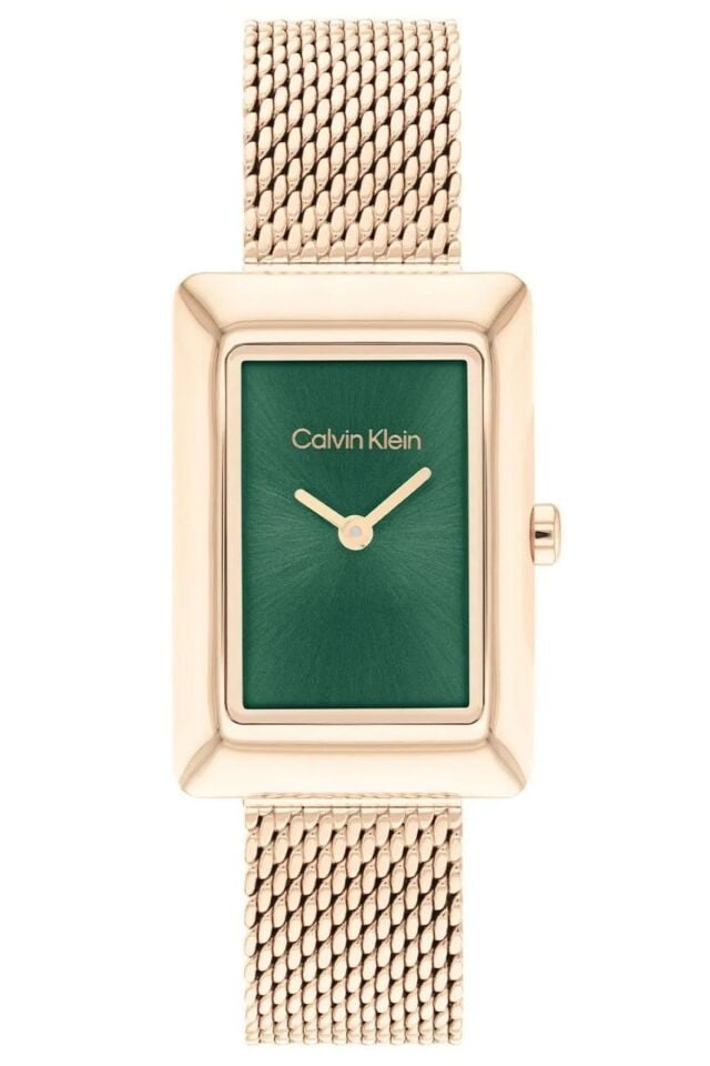 Calvin Klein CK25200395 Kadın Kol Saati