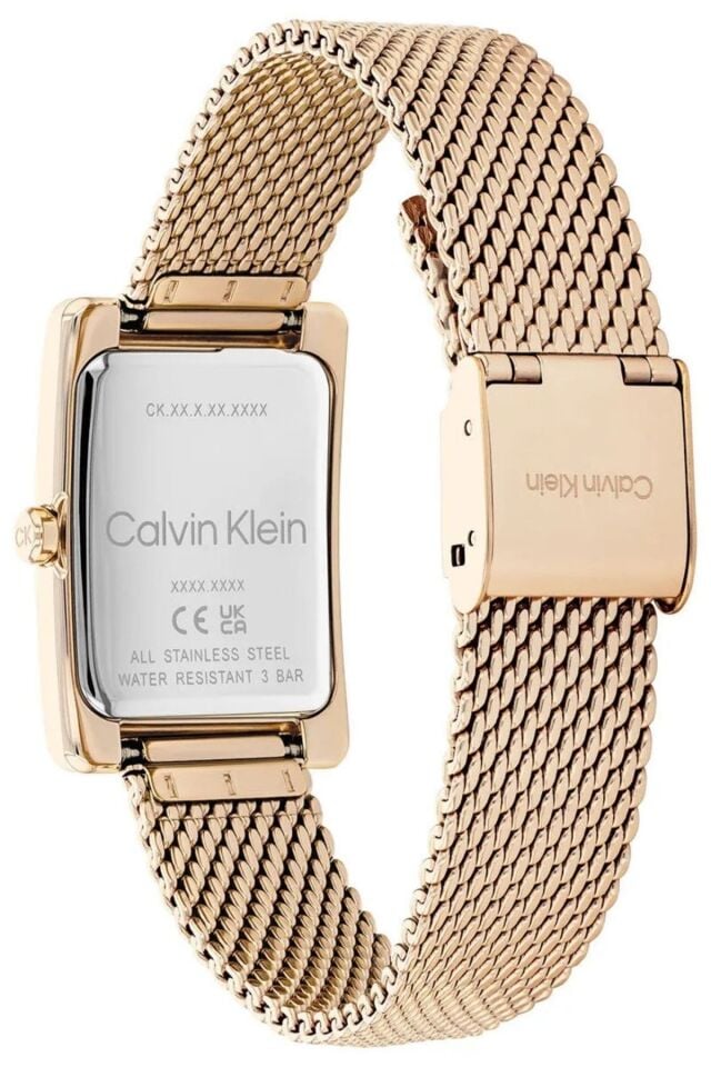 Calvin Klein CK25200395 Kadın Kol Saati