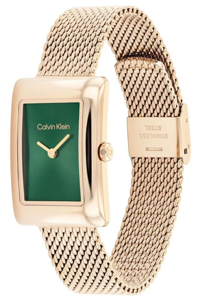 Calvin Klein CK25200395 Kadın Kol Saati