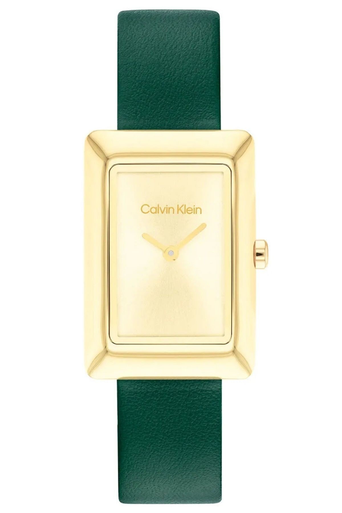 Calvin Klein CK25200397 Kadın Kol Saati