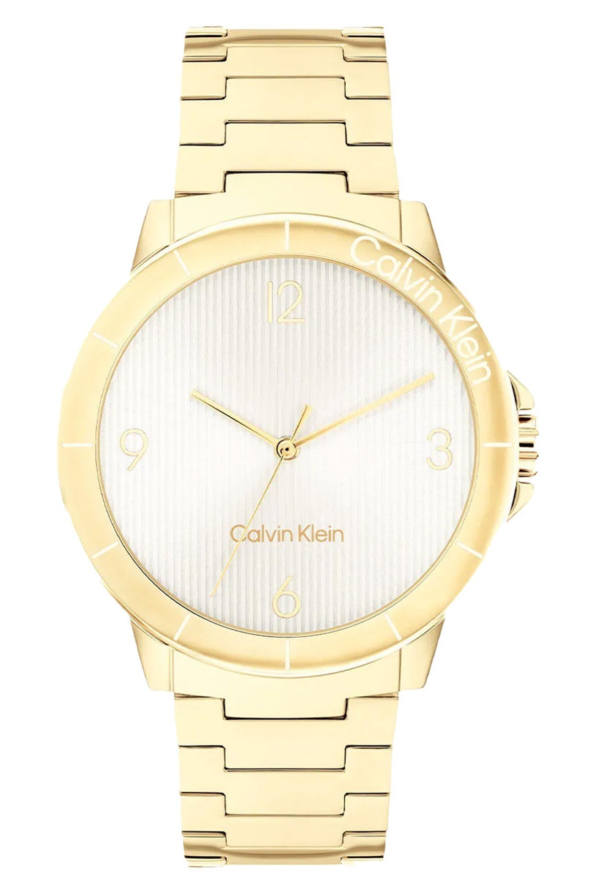 Calvin Klein CK25100023 Kadın Kol Saati