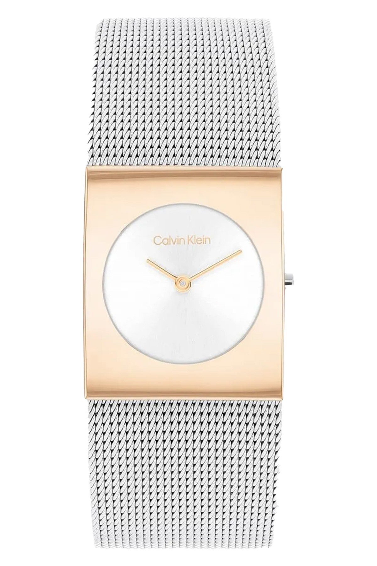 Calvin Klein CK25100063 Kadın Kol Saati