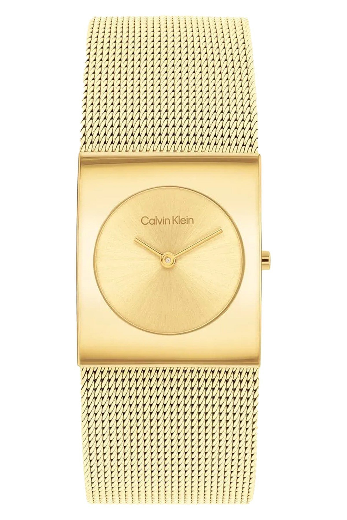 Calvin Klein CK25100062 Kadın Kol Saati