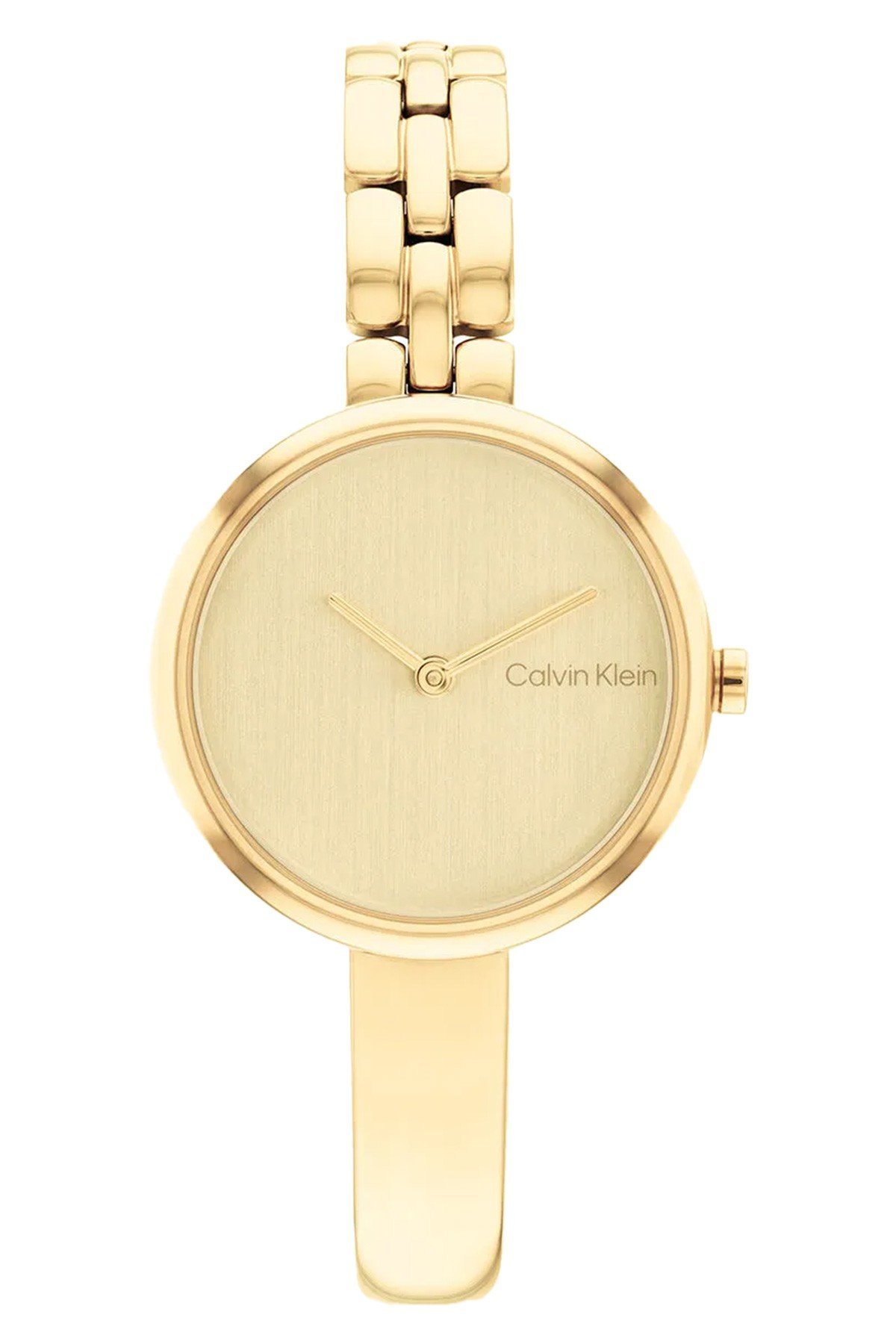 Calvin Klein CK25200279 Kadın Kol Saati