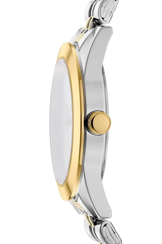 DKNY DK1L060M0065 Kadın Kol Saati