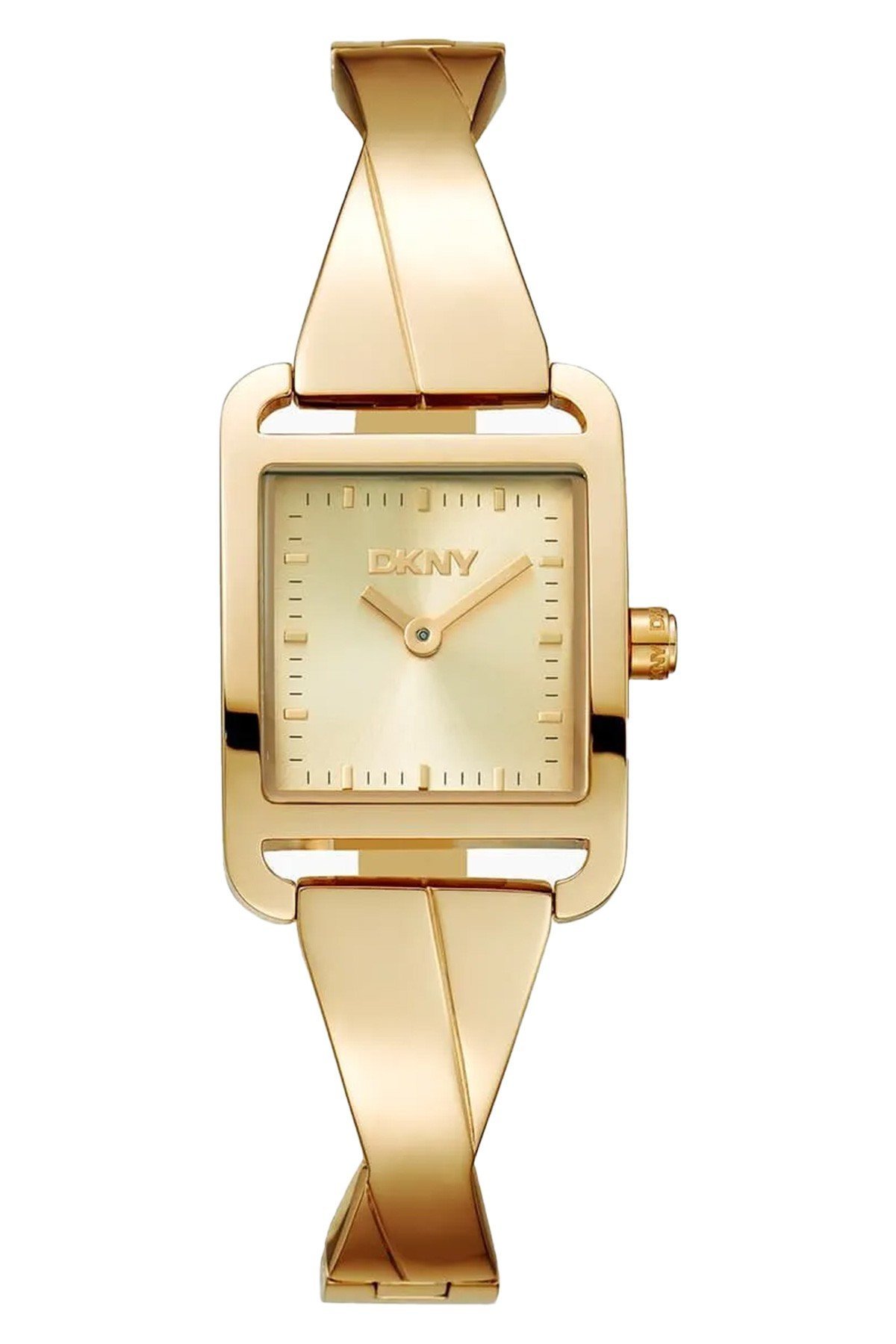 DKNY DK1L009M0045 Kadın Kol Saati Ürün Detayları